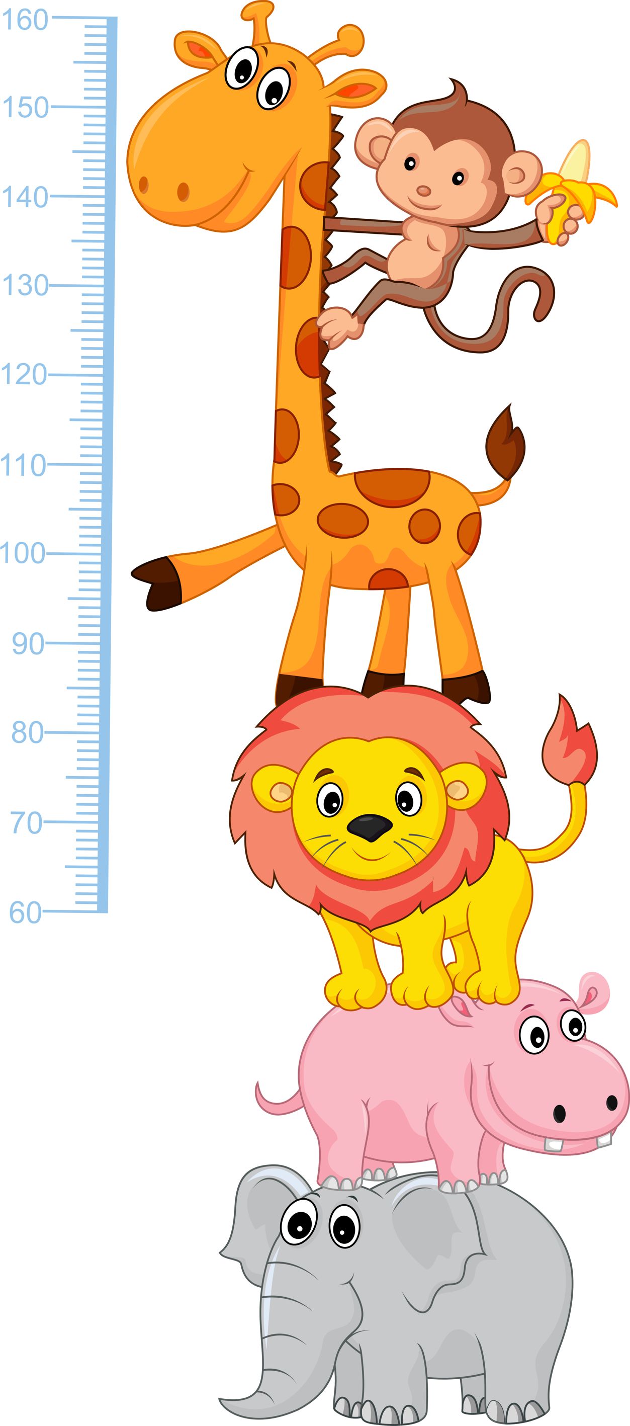 Animal Height Chart Kidz n Clan