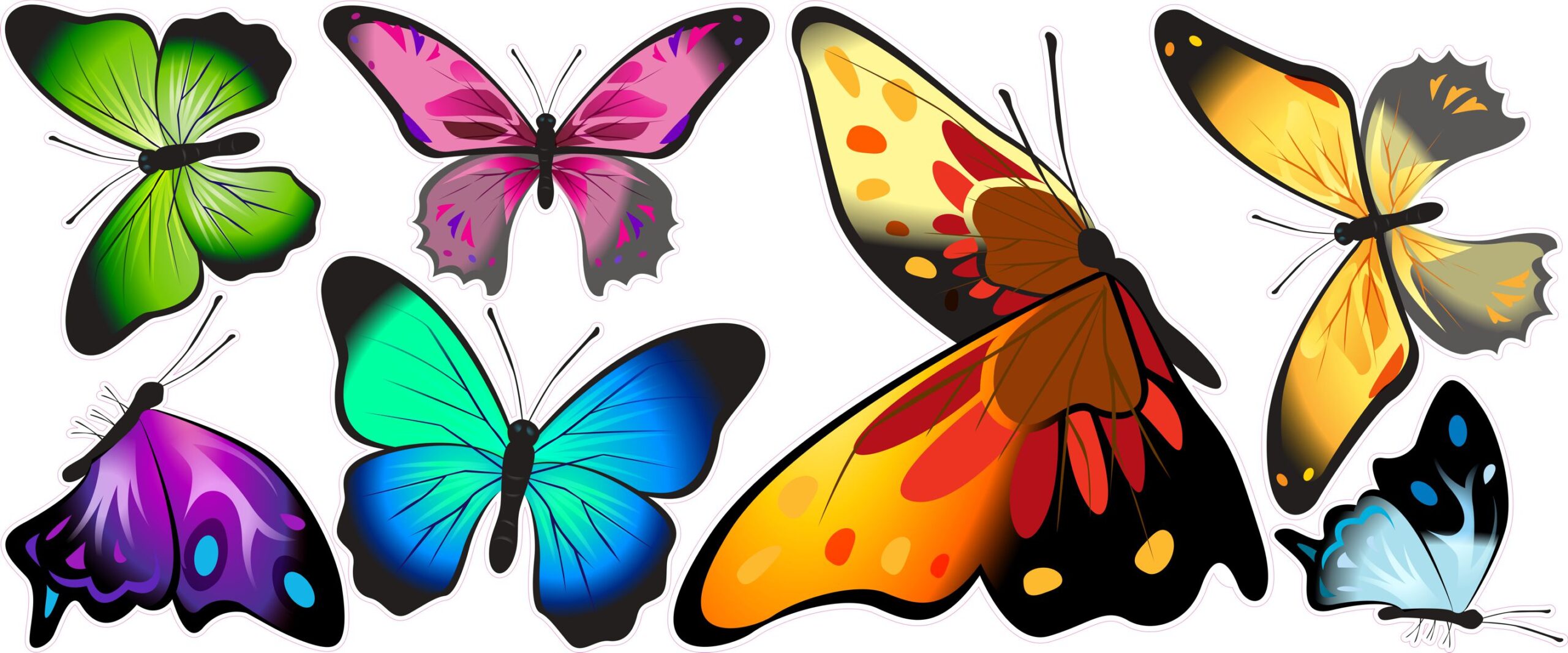 Colourful Butterflies - Image 2
