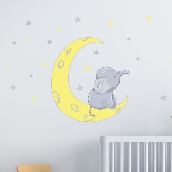 Elephant on a Moon