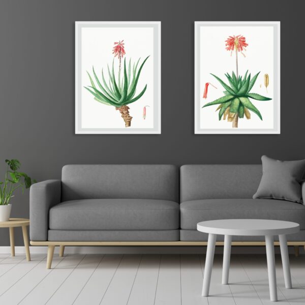 Prints for the Home