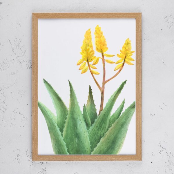 Yellow Aloe