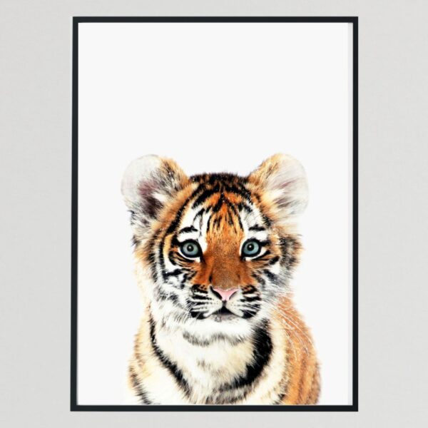 Baby Wild Animal Tiger