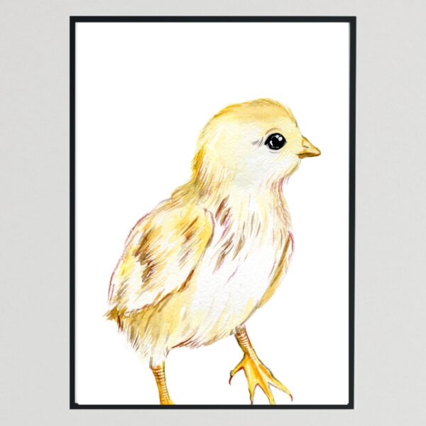 Baby Farm Animals Chick