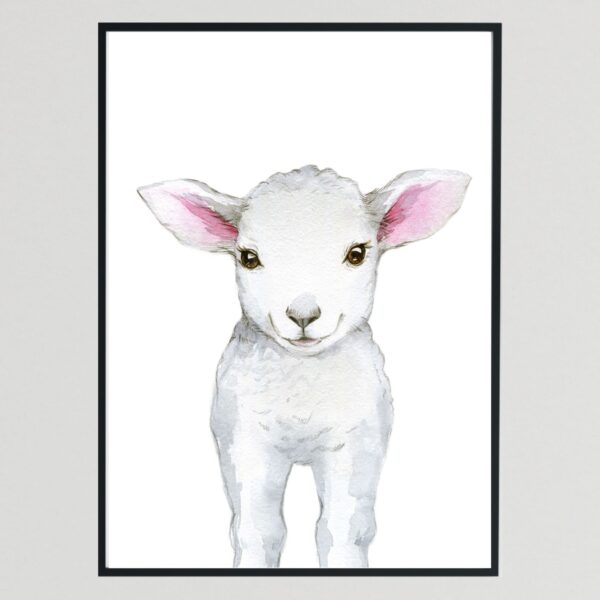 Baby Farm Animals - Lamb