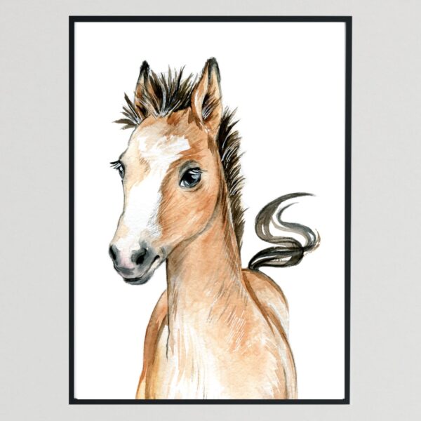 Baby Farm Animals Pony