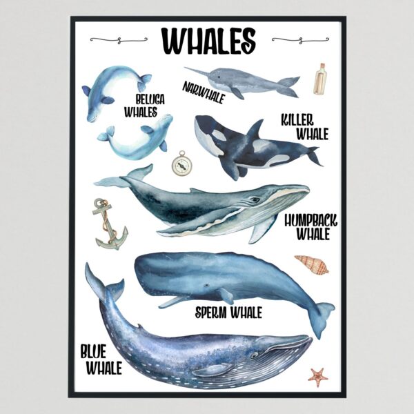 Nautical Collection II