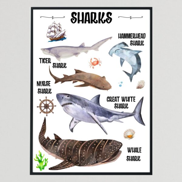 Nautical Collection III