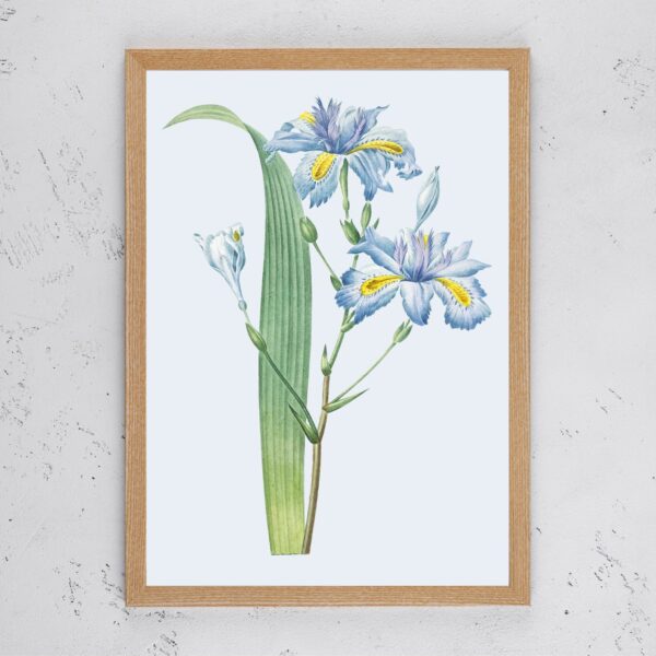 Vintage Blue Flower I