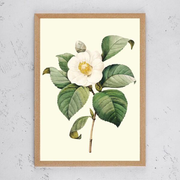 Vintage White Flower III