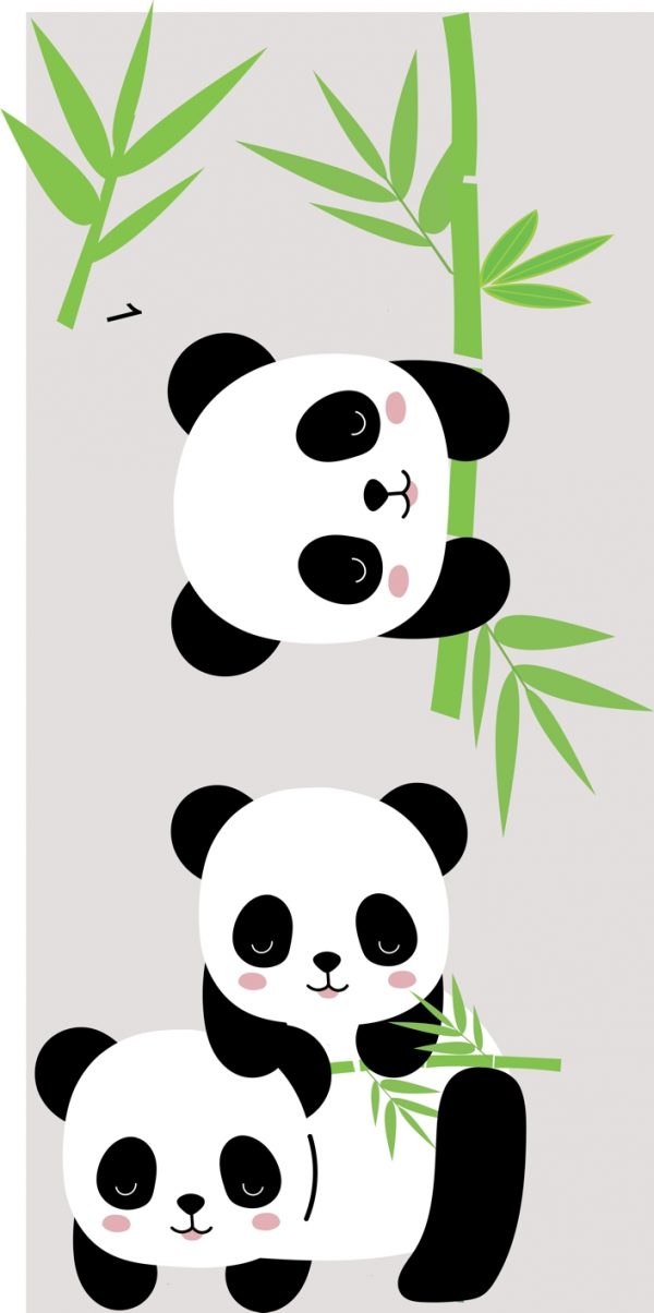 Panda's and Bamboo - Image 2