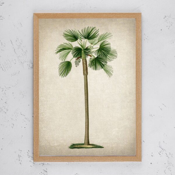 Vintage Palm Tree