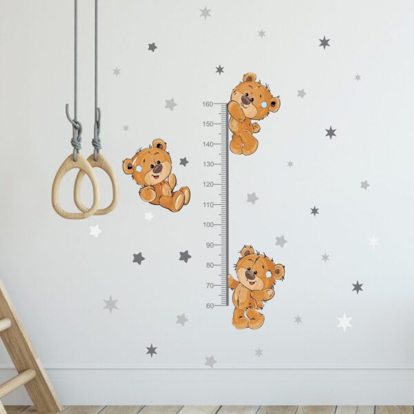 Brown Bears Height Chart