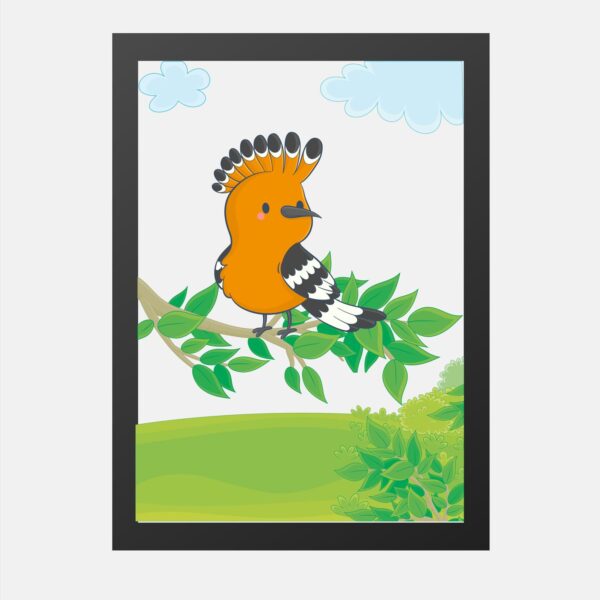 African Birds African Hoopoe