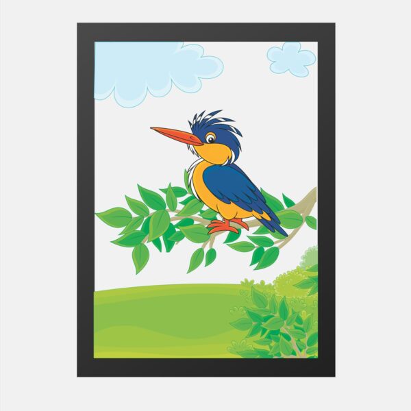 African Birds Kingfisher