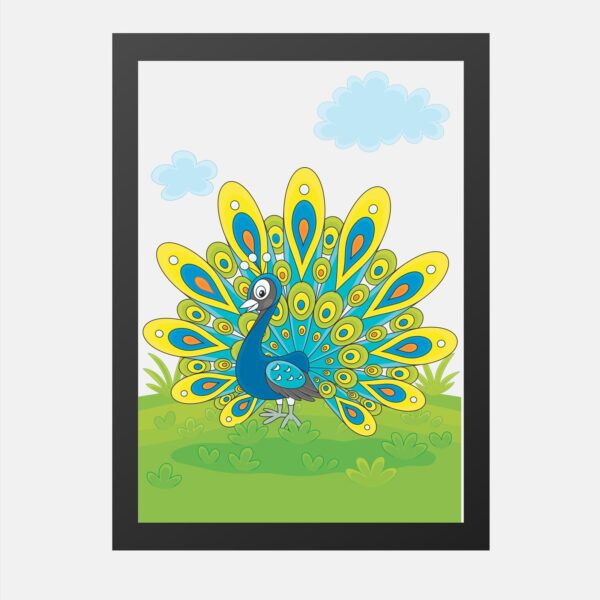 African Birds Peacock