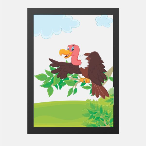 African Birds Vulture