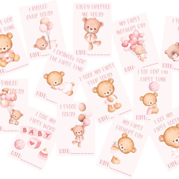Pink Teddy Milestone Cards