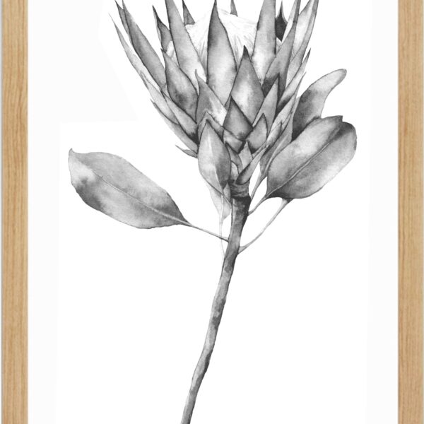 Bespoke Prints