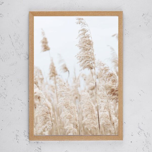 Dreamy Pampas Grass
