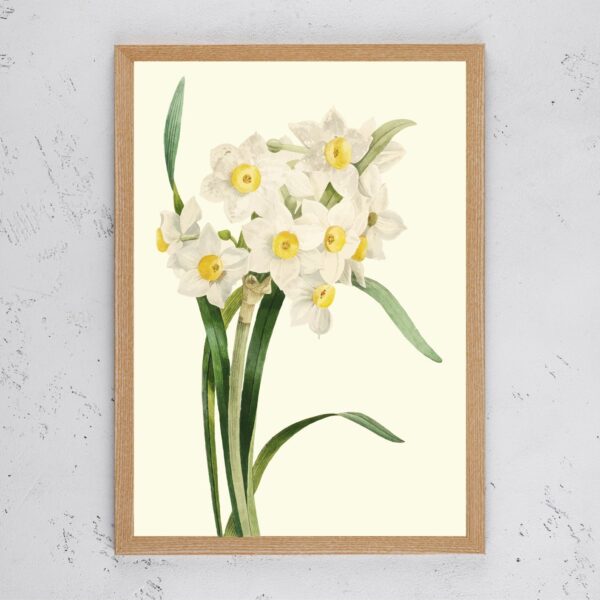 Vintage White Flower II