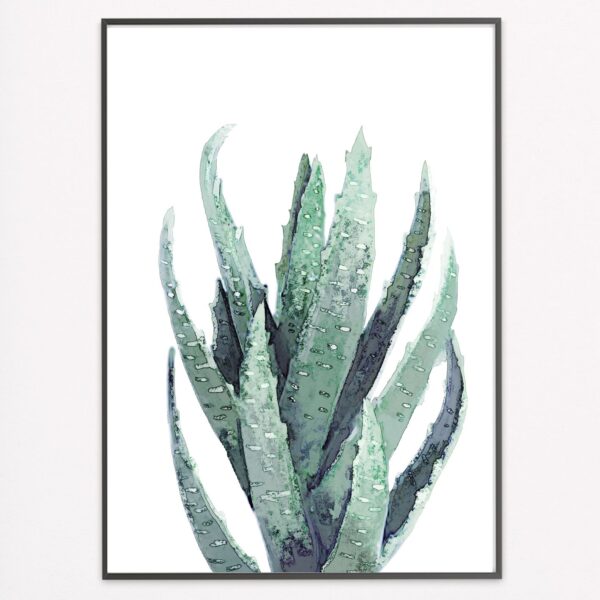 Watercolour Succulent II